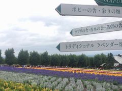 -富田农场