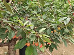 -大泽山风景名胜区