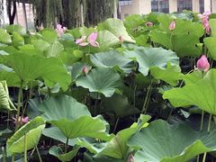-辽宁大学(崇山校区)