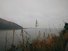 -羚羊峡古栈道森林公园