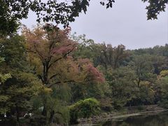 -灵谷景区