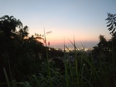 -仙岳公园