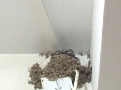 -大姐麻辣烫(莲宝中路店)