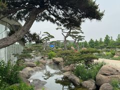 -罗红摄影艺术馆