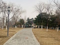 -大兴滨河森林公园