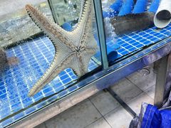 -滑记海鲜饭店·老字号(海鲜街店)