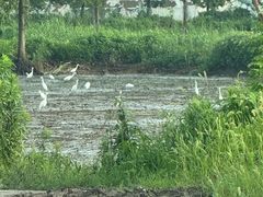 -上海大学生体育中心游泳馆(松江店)