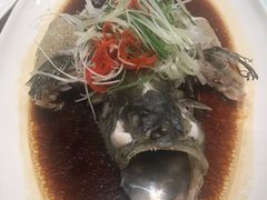 清蒸石斑鱼-新海渔港·胶东海鲜家常菜·家宴(奥体中心店)