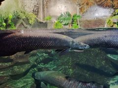 -太平洋海底世界