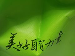 -奈雪的茶(金凤万达PRO店)