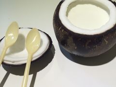 -志龙皇冠吃货椰子铺