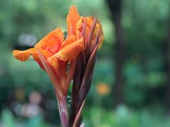 -陈家山荷花公园