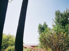 -静园(和平区)