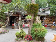 -青城甲(青城山店)