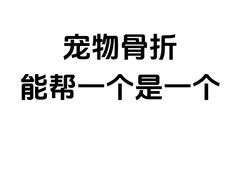 -申普宠物医院(总院)