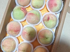 -老袁家蜜桃农场·阳山水蜜桃