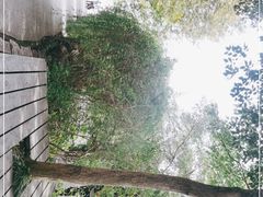 -上海佘山国家森林公园西佘山园