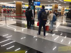 -谢列梅捷沃国际机场