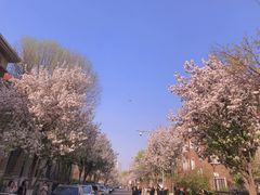 -天津五大道文化旅游区