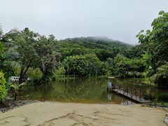 -热带雨林自然公园