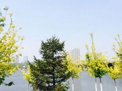 -长白岛森林公园