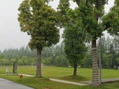 -前小桔亲子创意农场·草莓采摘·露营烧烤