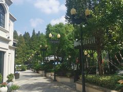 -子福慧(虹桥店)
