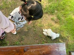 -合肥滨湖国家森林公园