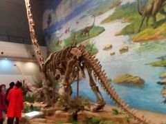 -自贡恐龙博物馆