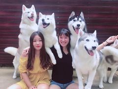 -TrueLove @ Neverland (Husky Cafe)
