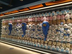 -海合安青岛极地海洋公园