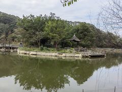 -广州市帽峰山景区