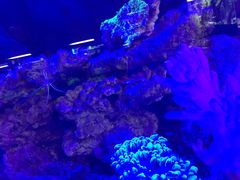 -国梁烤鸡(八大局店)