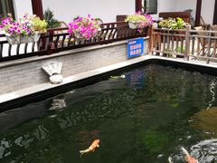 -华庭苑农家乐(旺山店)