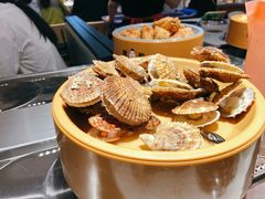 扇贝-龍歌自助小火锅(城阳万象汇店)