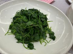 -新南华大酒店(广中店)