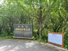 -穹窿山景区