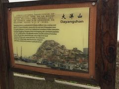 -洋山深水港