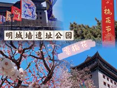 -北京明城墙遗址公园