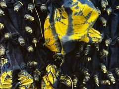 -璞真扎染博物馆