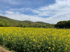 -铭莲·八卦田水上餐厅