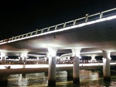 -演武大桥观景平台