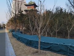 -迎泽公园