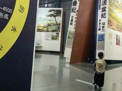 -中国西峡恐龙遗迹园