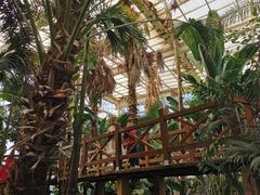 -石家庄市植物园