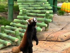 -泉城欧乐堡梦幻世界