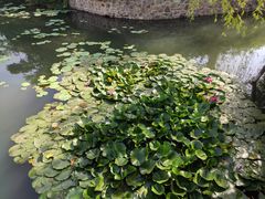 -望京楼flavor餐厅(古北水镇景区店)