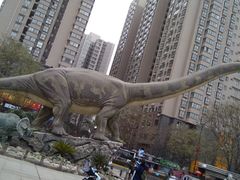 -陕西自然博物馆