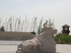 -永定河休闲森林公园