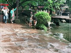 -黄龙溪古镇